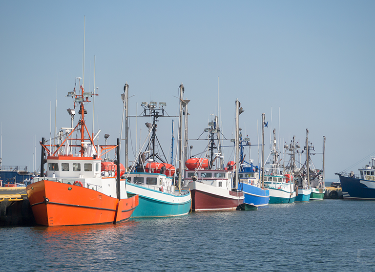 Fishing boats