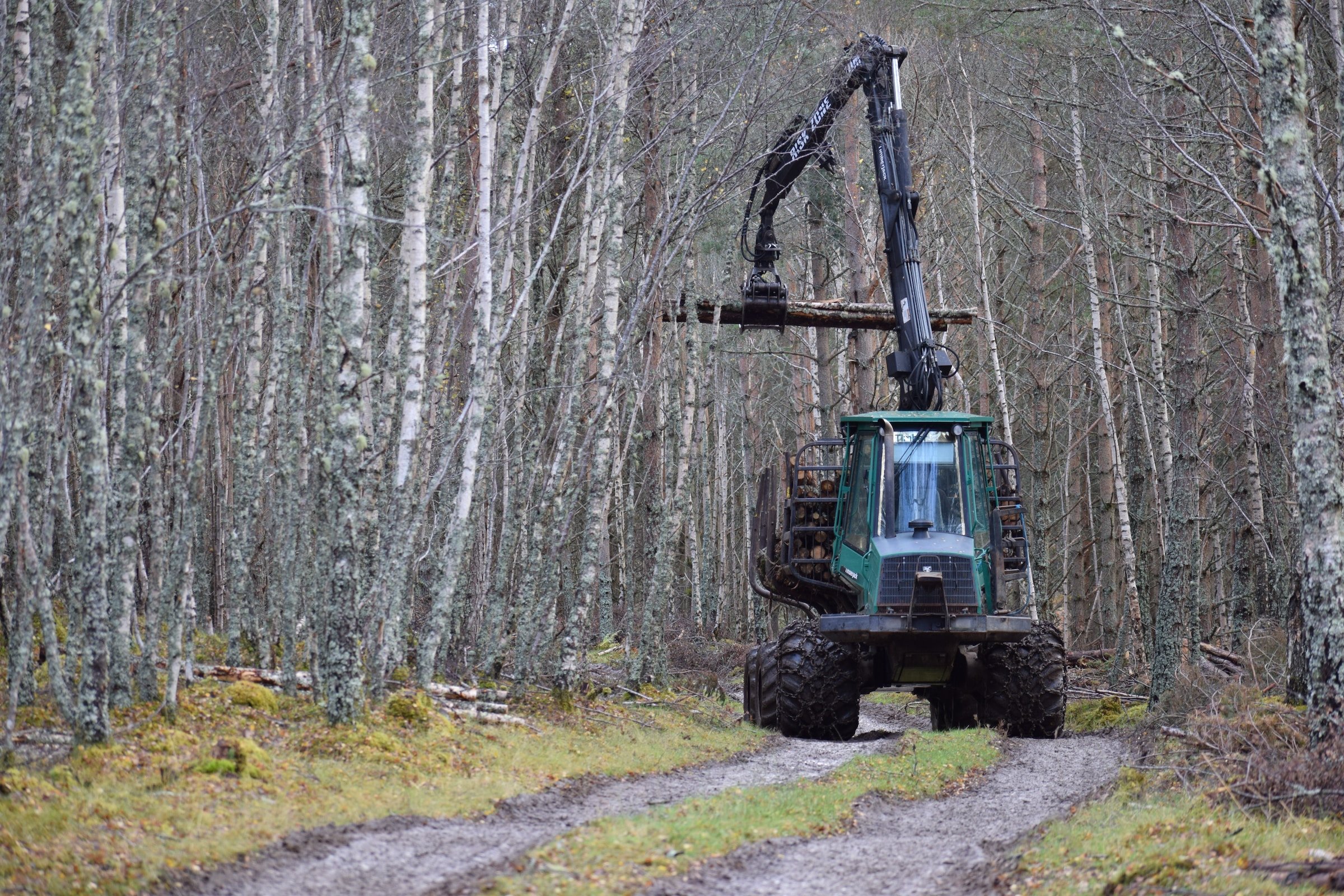 Logging tractor in a forest