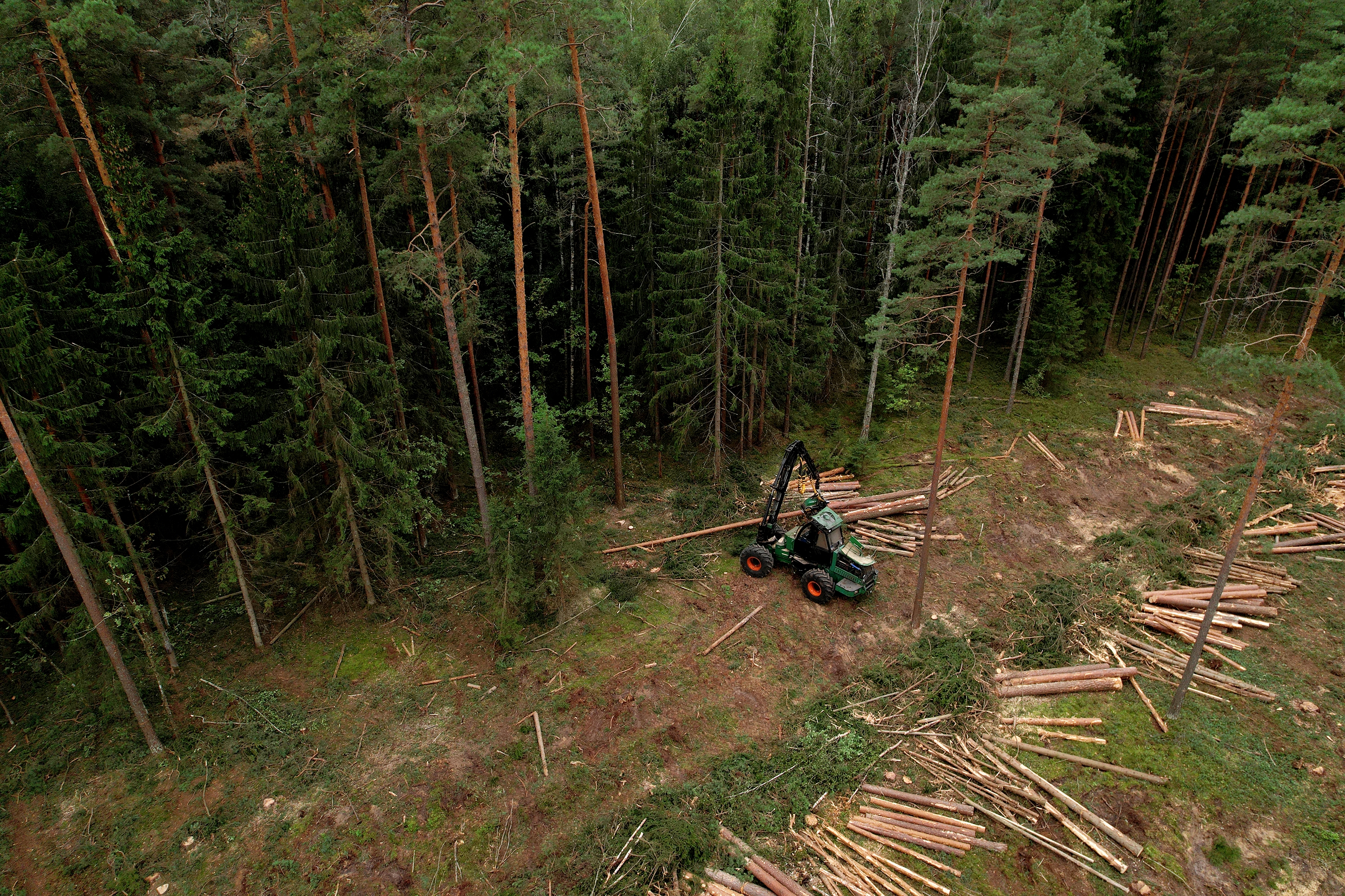 Aerial shot of a logging tractor and trees