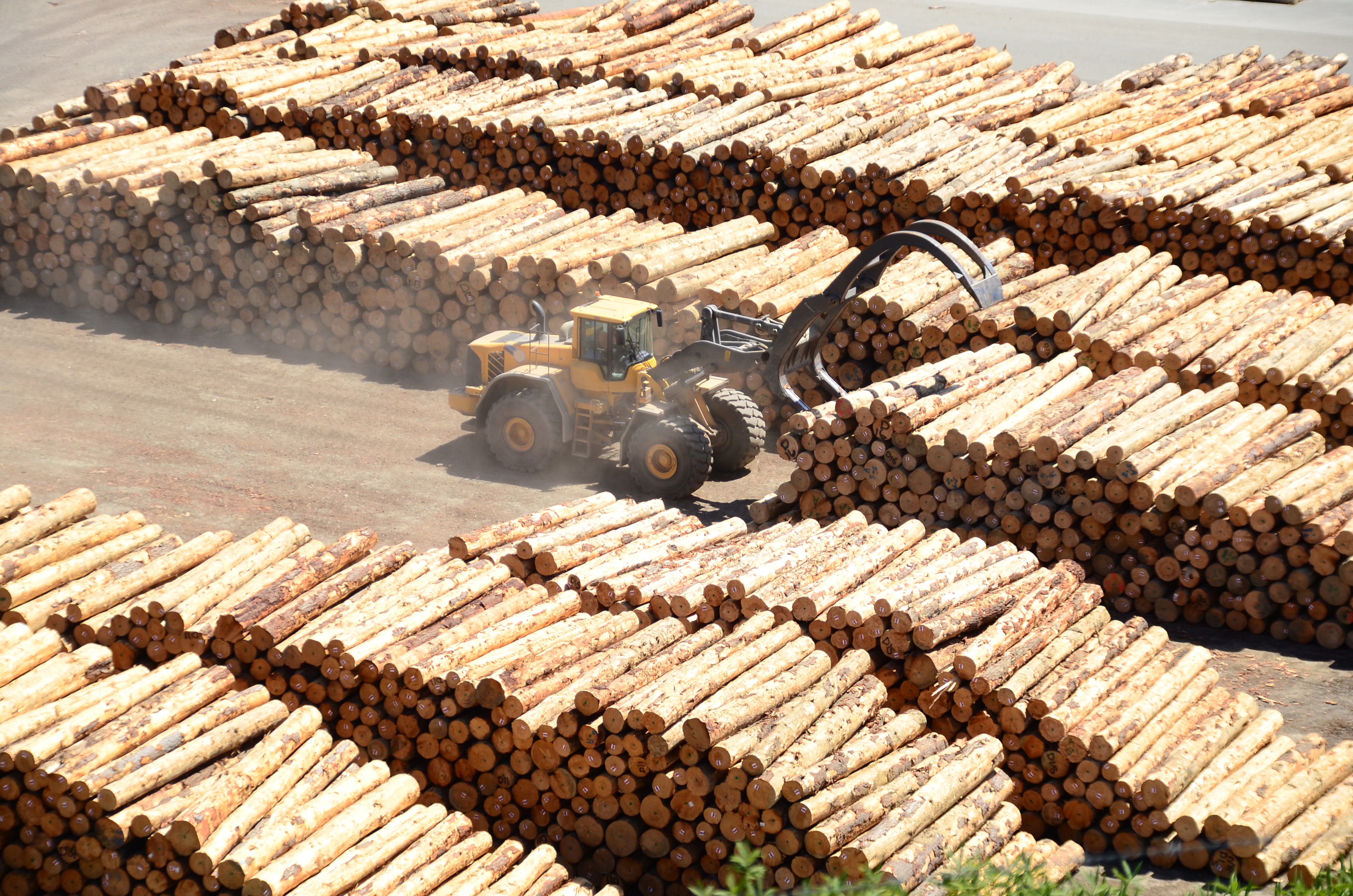 Logging tractor sorting logs